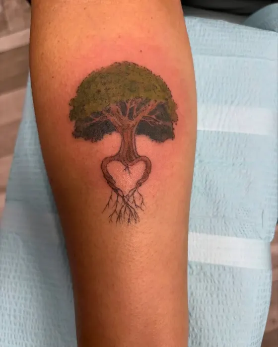 Color tattoo of a tree of life with spreading roots on a client's forearm, tattooed at TBA Tattoos